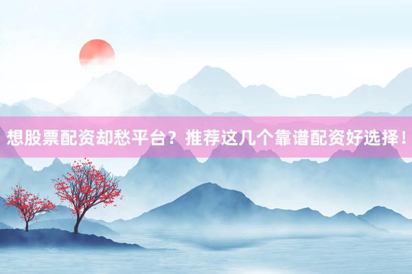 想股票配资却愁平台？推荐这几个靠谱配资好选择！