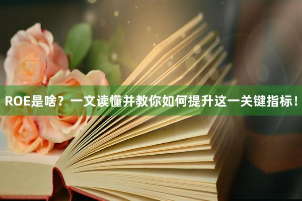 ROE是啥？一文读懂并教你如何提升这一关键指标！