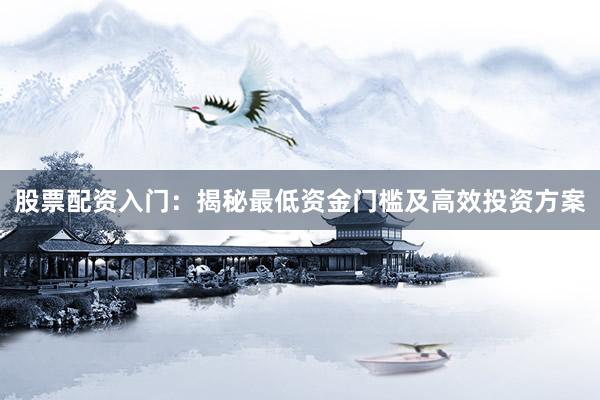 股票配资入门：揭秘最低资金门槛及高效投资方案