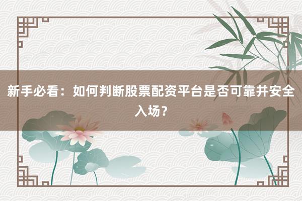 新手必看：如何判断股票配资平台是否可靠并安全入场？