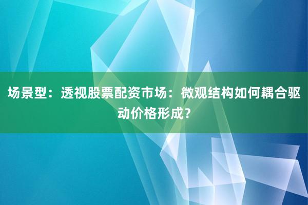 场景型：透视股票配资市场：微观结构如何耦合驱动价格形成？