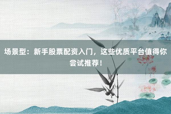 场景型：新手股票配资入门，这些优质平台值得你尝试推荐！