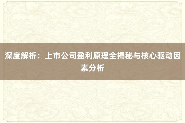 深度解析：上市公司盈利原理全揭秘与核心驱动因素分析